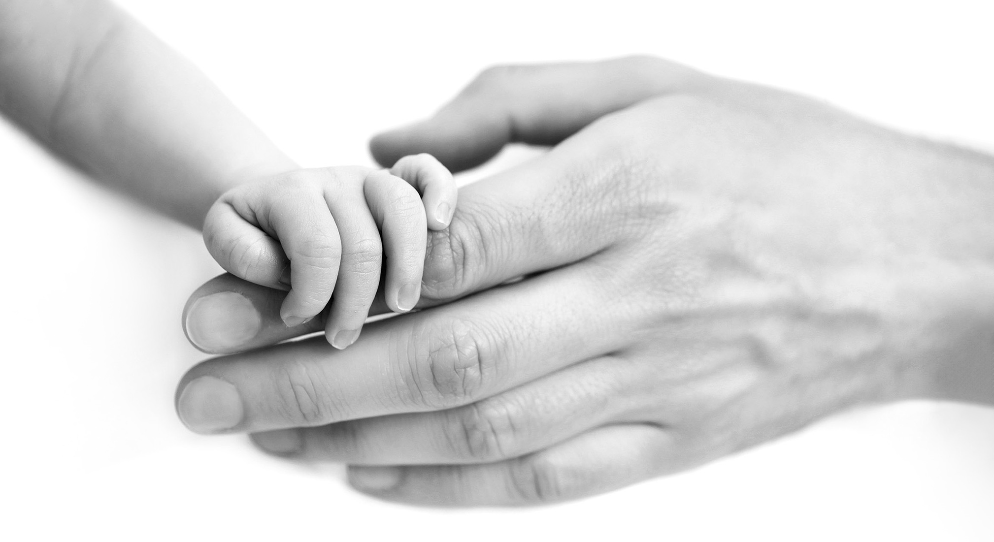 Baby hand holding adult hand